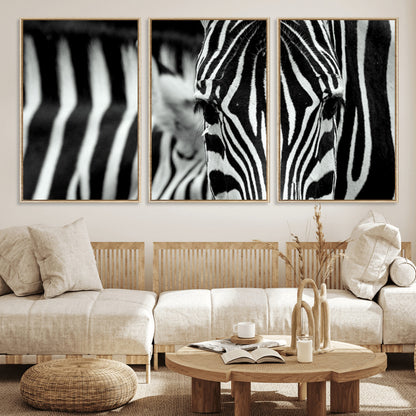 43631-MGV-FC-60X30-3P_Natural-Black and White Zebra Wall Art – Modern Animal Print Canvas Artwork for Living Room, Bedroom, or Office Decor