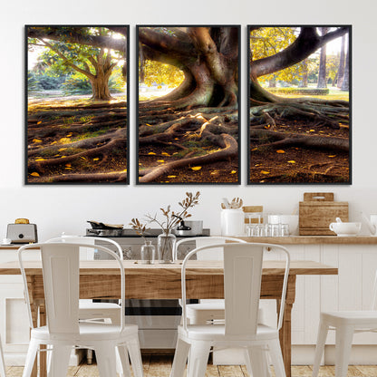 53335-MGV-CV-36X24-Majestic Tree with Sprawling Roots Wall Art – Serene Sunlit Park Scene, Nature Canvas Print, Perfect for Living Room, Office or