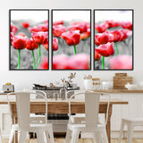 44554-MGV-CV-36X24-Vibrant red tulips stand out beautifully against a black-and-white background, making a striking decor piece perfect for any home