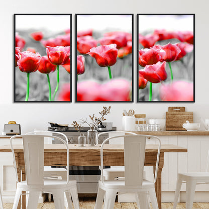 44554-MGV-CV-36X24-Vibrant red tulips stand out beautifully against a black-and-white background, making a striking decor piece perfect for any home
