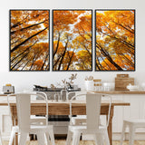 11823-MGV-CV-36X24-Golden Autumn Tree Canopy Wall Art – Stunning Fall Forest Leaves Print, Warm Seasonal Nature Decor for Home, Office or Cabin