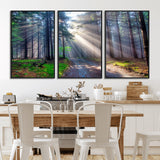 42047-MGV-CV-36X24-Sunlit Forest Path Wall Art – Nature Canvas Print, Serene Woodland Landscape, Perfect Home & Office Decor for Calm and Tranquil