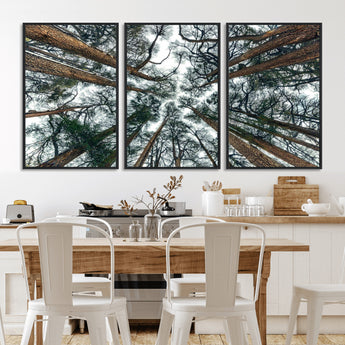 18790-MGV-CV-36X24-Pine Canopy Wall Art – Panoramic View of Towering Pines Canvas Print, Nature-Inspired Decor for Office, Cabin or Living Room