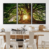 52150-MGV-FC-60X30-3P_Black-Majestic Tree Wall Art – Large Nature Canvas Print with Sunlight Through Branches, Rustic Forest Decor for Living Room, Bedroom or