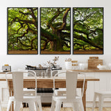 29407-MGV-FC-60X30-3P_Black-Ancient Oak Tree Wall Art – Majestic Nature Canvas Print, Large Tree Photography Decor for Living Room