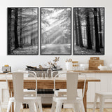 39665-MGV-FC-60X30-3P_Black-Black and White Forest Path Wall Art – Sunlight Rays in Trees Canvas Print, Nature Landscape Decor for Living Room