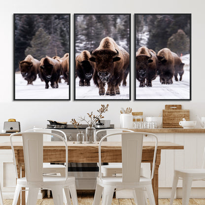66871-MGV-FC-60X30-3P_Black-Bison Herd Wall Art – Wildlife Buffalo Canvas Print, Rustic Western Nature Photography Decor for Living Room, Office, Cabin, or