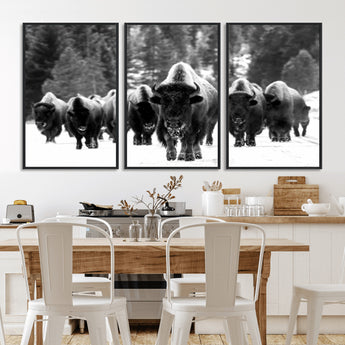 62434-MGV-CV-36X24-Bison Herd Wall Art – Majestic Black and White Buffalo Canvas Print, Wildlife Nature Photography Decor for Living Room, Office or