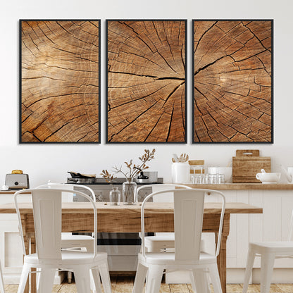 61710-MGV-FC-60X30-3P_Black-Tree Rings Wall Art – Rustic Wood Grain Canvas Print of Tree Trunk Cross Section, Nature Inspired Decor for Cabin, Office, Living
