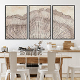 67528-MGV-CV-36X24-Wood Ring Wall Art Canvas Print, Framed Tree Ring Art Picture Print, Rustic Tree Ring Perfect Neutral Boho Decor Artwork