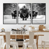 45287-MGV-CV-36X24-Bison Herd Wall Art – Black and White Buffalo Snow Road Canvas Print, Rustic Wildlife Decor for Cabin, Lodge or Living Room