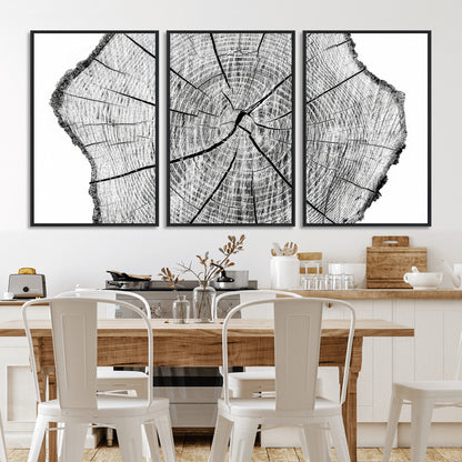 98709-MGV-FC-60X30-3P_Black-Tree Ring Wall Art – Black and White Canvas Print Rustic Wood Cross Section, Minimal Nature Inspired Decor for Living Room,