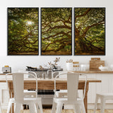 57983-MGV-FC-60X30-3P_Black-Angel Oak Tree Wall Art Canvas Print, Framed Oak Tree Art Picture Print, Angel Oak Perfect Rustic Nature Decor Artwork