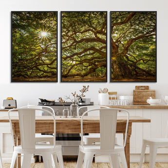 57983-MGV-FC-60X30-3P_Black-Angel Oak Tree Wall Art Canvas Print, Framed Oak Tree Art Picture Print, Angel Oak Perfect Rustic Nature Decor Artwork