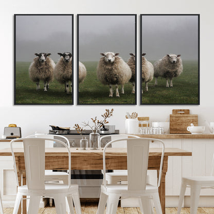 87339-MGV-FC-60X30-3P_Black-Sheep Wall Art – Rustic Farmhouse Canvas Print Flock Standing Misty Field Countryside Photography, Country Animal Decor for Living