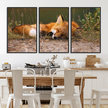 25085-MGV-CV-36X24-Sleeping Fox Wall Art Canvas Print, Framed Rustic Fox Art Picture Print, Wildlife Animal Perfect Rustic Farmhouse Decor Artwork