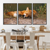 25085-MGV-FC-60X30-3P_Black-Sleeping Fox Wall Art Canvas Print, Framed Rustic Fox Art Picture Print, Wildlife Animal Perfect Rustic Farmhouse Decor Artwork