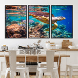 66614-MGV-CV-36X24-Sea Turtle Wall Art – Hawksbill Turtle Swimming Over Coral Reef Canvas Print, Ocean Marine Life Decor for Beach House, Coastal