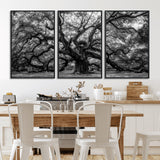 132944706-MGV-CV-36X24-Ancient Tree Wall Art – Black and White Photography Canvas Print Featuring Majestic Twisting Branches, Rustic Nature Artwork for