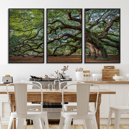 MGV-FC-60X30-3P - Historic Tree Wall Art Canvas Print, Framed Mossy Tree Art Picture Print, Twisted Branches Perfect Nature Southern Decor Artwork