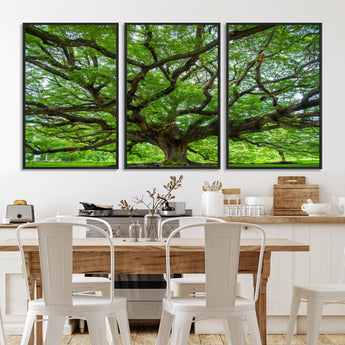 49375306-MGV-CV-36X24-Ancient Tree Wall Art Canvas Print, Framed Sprawling Branches Art Picture Print, Gnarling Tree Perfect Earthy Natural Decor