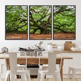 51255351-MGV-CV-36X24-Ancient Tree Wall Art – Majestic Oak Canvas Print, Large Nature Photography, Sacred Forest Landscape Wall Décor, Wisdom Tree
