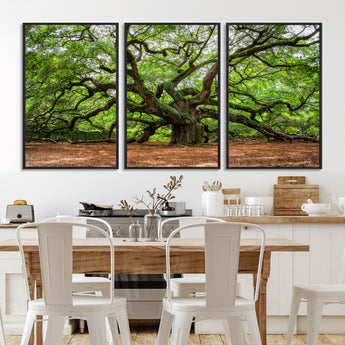51255351-MGV-CV-36X24-Ancient Tree Wall Art – Majestic Oak Canvas Print, Large Nature Photography, Sacred Forest Landscape Wall Décor, Wisdom Tree
