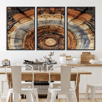 15184146-MGV-FC-60X30-3P_Black-Tree Rings Wall Art Canvas Print, Framed Wood Texture Art Picture Print, Rustic Pattern Perfect Rustic Organic Decor Artwork