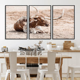 25407592-MGV-FC-60X30-3P_Black-Texas Longhorn Wall Art Canvas Print, Framed Resting Bull Art Picture Print, Spotted Cattle Perfect Rustic Western Decor Artwork