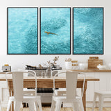 43671474-MGV-FC-60X30-3P_Black-Fish Swarm Wall Art Canvas Print, Framed Marine Life Art Picture Print, Shark Aerial Perfect Wildlife Coastal Decor Artwork