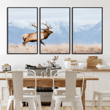 96024025-MGV-CV-36X24-Elk Photography Wall Art Canvas Print, Framed Mountain Wildlife Art Picture Print, Rustic Lodge Decor Perfect Rustic Lodge Decor