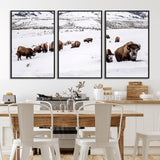 13891210-MGV-CV-36X24-Bison Herd Scene Wall Art Canvas Print, Framed Western Wildlife Decor Art Picture Print, Snowy Mountain Valley Perfect Rustic