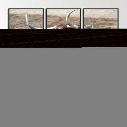 MGV-FC-60X30-3P - Texas Longhorn Wall Art Canvas Print, Framed Country Living Art Picture Print, Farmhouse Aesthetic Perfect Western Rustic Decor Artwork