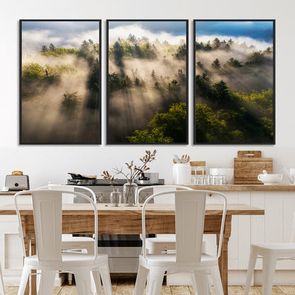 14785710-MGV-CV-36X24-Tranquil Forest Scene Wall Art Canvas Print, Framed Sunbeam Through Trees Art Picture Print, Moody Green Wall Art Perfect