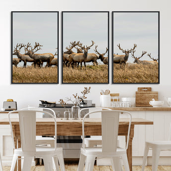 42170220-MGV-CV-36X24-Elk Herd Wall Art Canvas Print, Framed Wildlife Photography Art Picture Print, Majestic Antlers Perfect Rustic Wildlife Decor