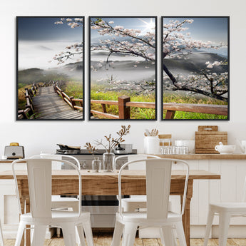 34632598CRY-MGV-FC-60X30-3P_Black-Sakura Cherry Blossom Pathway Canvas Wall Art – Tranquil Walk Through Blossoming Nature – Ready to Hang