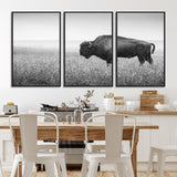 90861202-MGV-FC-60X30-3P_Black-Black and White Bison Canvas Wall Art – Rustic American Buffalo Print, Western Wildlife Photography for Farmhouse, Cabin, Office