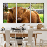68411138-MGV-CV-36X24-Farmhouse Wall Art – Highland Cow Canvas Print, Rustic Country Cattle Photography Decor for Bedroom, Living Room, Office, Ranch,