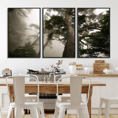 87969493-MGV-FC-60X30-3P_Black-Forest Wall Art – Misty Tall Trees Canvas Print, Dramatic Woodland Photography Decor for Bedroom, Living Room, Office, Cabin,
