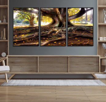 53335-MGV-FC-60X30-3P_Black-Majestic Tree with Sprawling Roots Wall Art – Serene Sunlit Park Scene, Nature Canvas Print, Perfect for Living Room, Office or