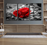 84671-MGV-FC-60X30-3P_Black-Red Rose Wall Art – Vibrant Single Bloom Canvas Print with Black and White Background, Elegant Floral Decor for Living Room,
