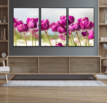30632-MGV-FC-60X30-3P_Black-Purple Tulip Field Wall Art – Beautiful Spring Flowers Canvas Print with Soft Focus and Bright Sky, Ideal Floral Decor for Home or