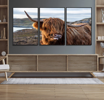 71222-MGV-CV-36X24-A playful Highland cow with shaggy fur sticks out its tongue, set against a rugged landscape — perfect for quirky home or office