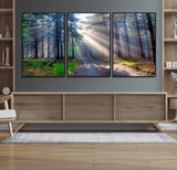 42047-MGV-FC-60X30-3P_Black-Sunlit Forest Path Wall Art – Nature Canvas Print, Serene Woodland Landscape, Perfect Home & Office Decor for Calm and Tranquil