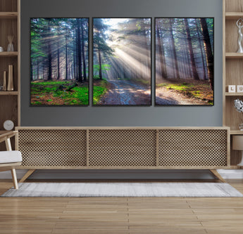 42047-MGV-FC-60X30-3P_Black-Sunlit Forest Path Wall Art – Nature Canvas Print, Serene Woodland Landscape, Perfect Home & Office Decor for Calm and Tranquil