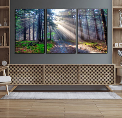 42047-MGV-FC-60X30-3P_Black-Sunlit Forest Path Wall Art – Nature Canvas Print, Serene Woodland Landscape, Perfect Home & Office Decor for Calm and Tranquil