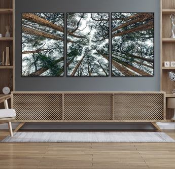 18790-MGV-FC-60X30-3P_Black-Pine Canopy Wall Art – Panoramic View of Towering Pines Canvas Print, Nature-Inspired Decor for Office, Cabin or Living Room