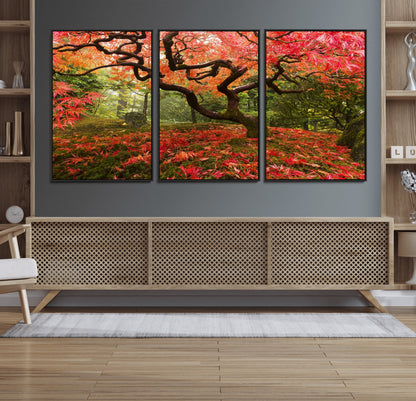 73343-MGV-CV-36X24-Autumn Maple Wall Art – Panoramic Vibrant Red Maple Tree Canvas Print, Seasonal Nature Decor for Office, Living Room or Garden