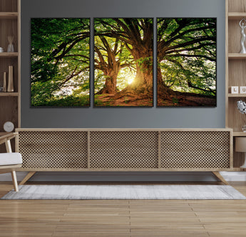 52150-MGV-CV-36X24-Majestic Tree Wall Art – Large Nature Canvas Print with Sunlight Through Branches, Rustic Forest Decor for Living Room, Bedroom or
