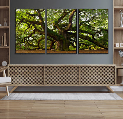 29407-MGV-CV-36X24-Ancient Oak Tree Wall Art – Majestic Nature Canvas Print, Large Tree Photography Decor for Living Room or Office